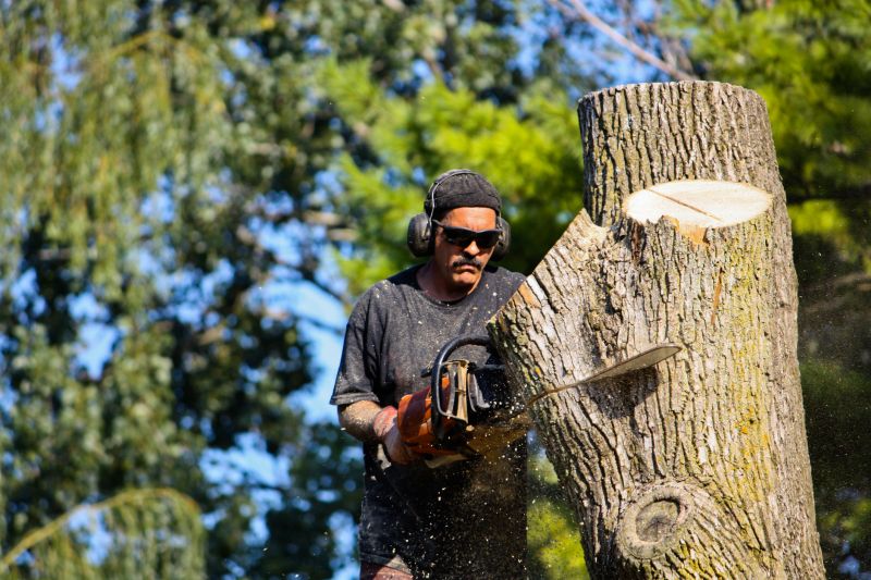 Tree Trimming Service