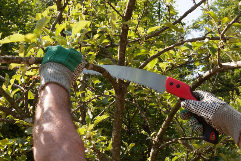 Ash Tree Pruning
