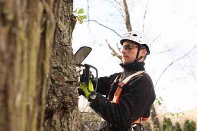 Professional Tree Care Equipment