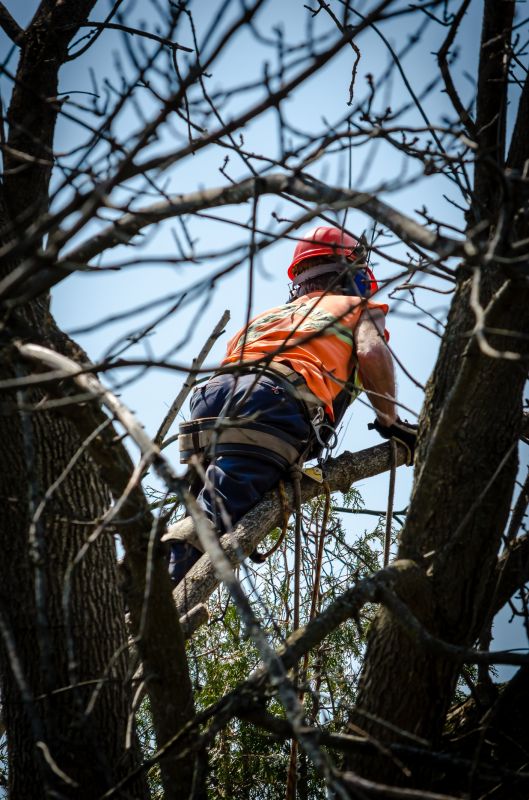 Extend Tree Lifespan